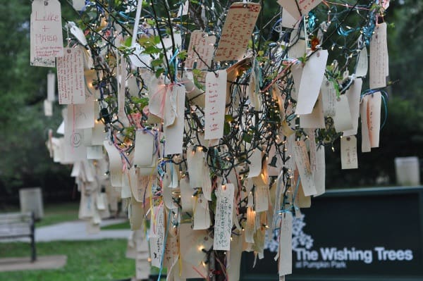 River Oaks Pumpkin Park Wishing Tree