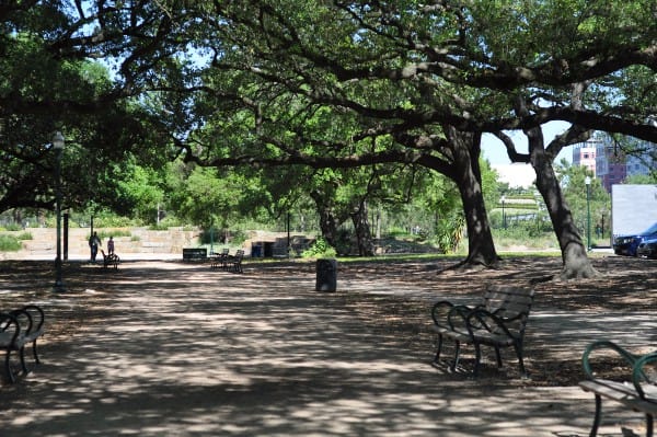 Hermann Park Trail