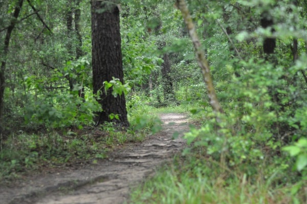 Lake Houston Park