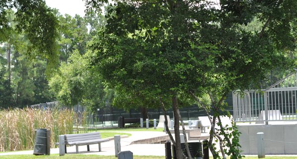 Creekwood Park The Woodlands Skateboard Ramps