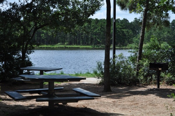 Northshore Park The Woodlands Shaded Picnic Area