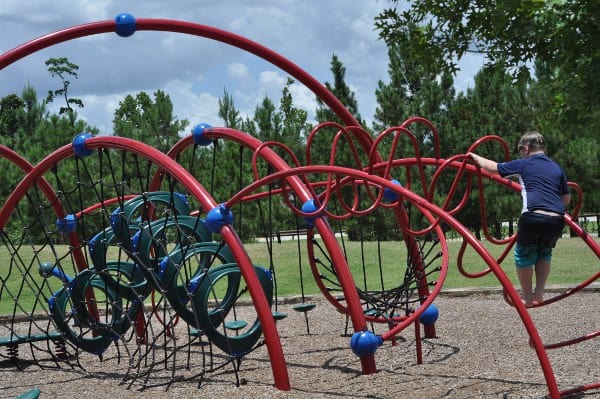 Rob Fleming The Woodlands Play Structure by Pool