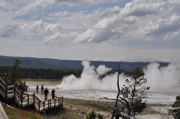 Yellowstone National Forest Fountain Paint Pots Steam