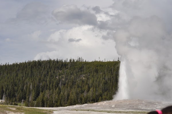 Yellowstone National Forest Old Faithful Geyser