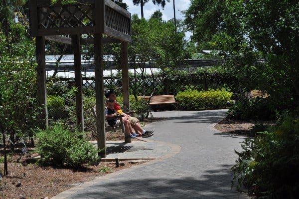 Mercer Arboretum Botanical Gardens Swing