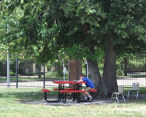 St George Spark Park Table in Shade