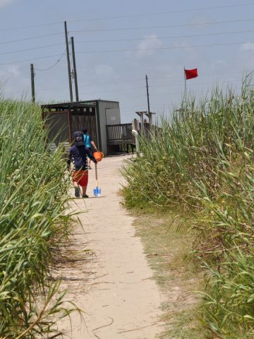 Galveston Island State Park Path to Beach