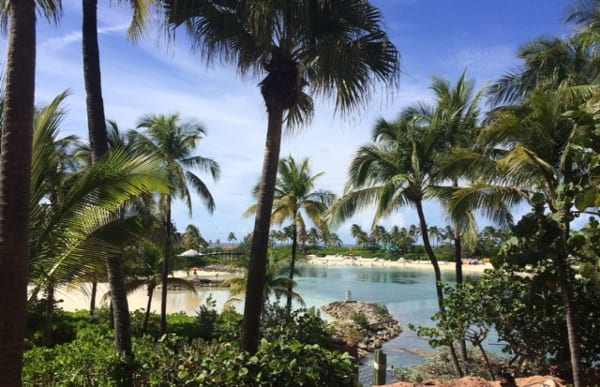 Paradise Island Bahamas Palm Trees