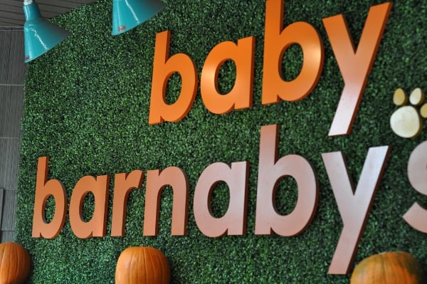 baby-barnabys-sign