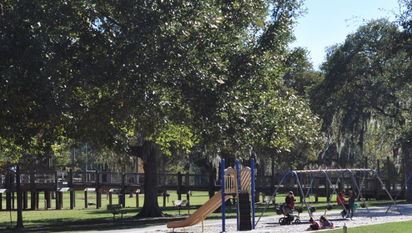 Burroughs Park Swings