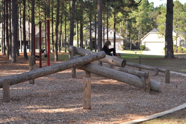 jagged-ridge-log-balance-beams