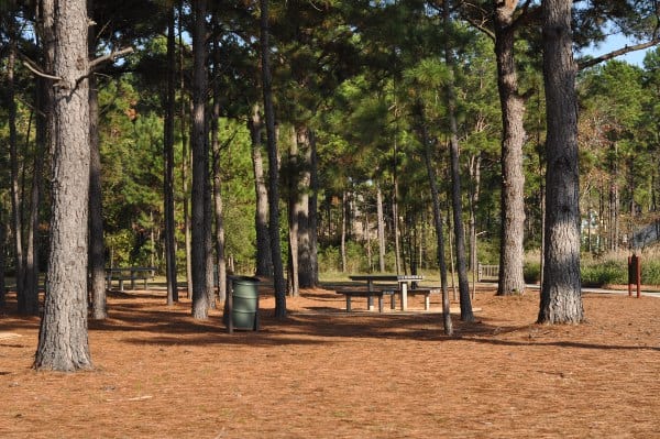 liberty-square-the-woodlands-picnic-tables