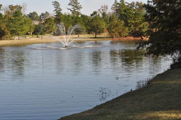 tupelo-park-the-woodlands-lake