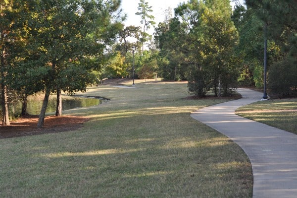 tupelo-park-the-woodlands-path