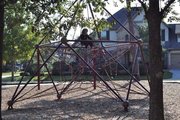 tupelo-park-the-woodlands-spider-web