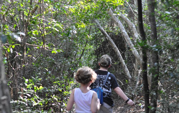 Memorial Park Trails Blue Trail