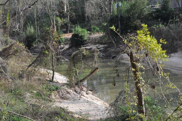 memorial-park-buffalo-bayou