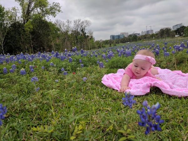 Baby in Bluebonnets Houston Brays Bayou