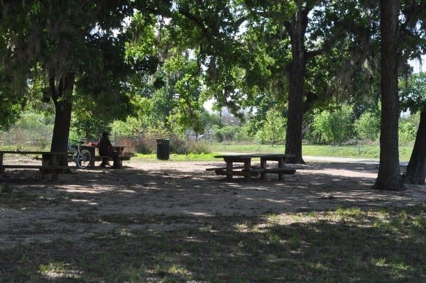 Bayou Parklands Hermann Park Picnic Tables