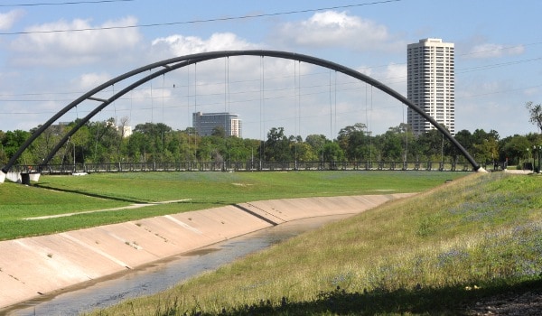 Bluebonnets at Brays Bayou from Bayou Parklands at Hermann Park with Bill Coats Bridge