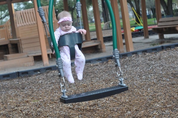 Carol Fox Park Double Swing