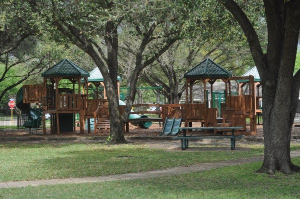 Carol Fox Park Play Structure