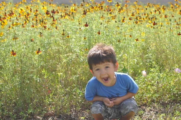 Wild Flowers at TMC Transit Center Houston