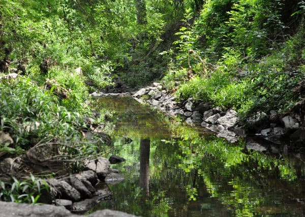 Water at Sanctuary