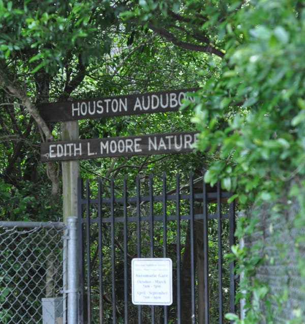 Edith L Moore Nature Sanctuary