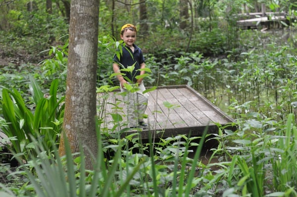 Edith L Moore Nature Sanctuary