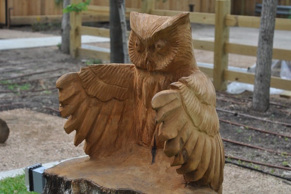 Owl Chair at Nature Discovery Center