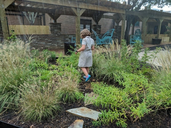 Wild at Houston Zoo