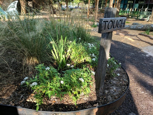 Nature Play Area Houston Zoo