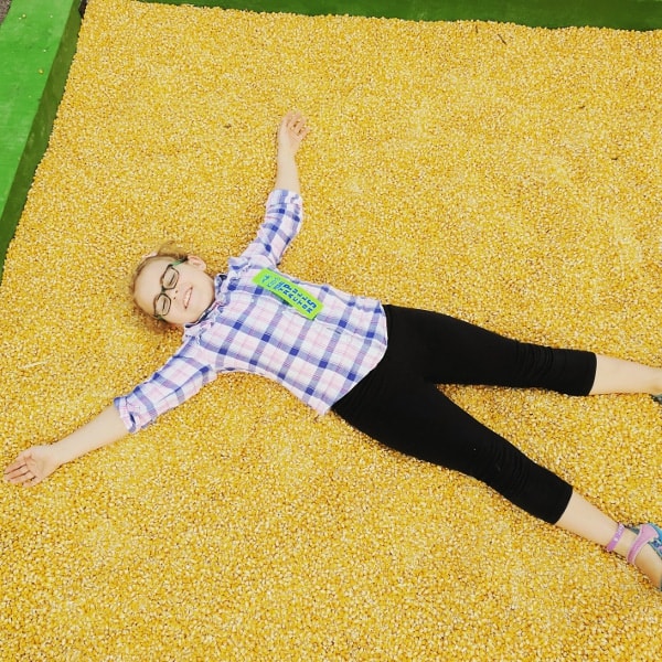 Rodeo Houston Corn Box