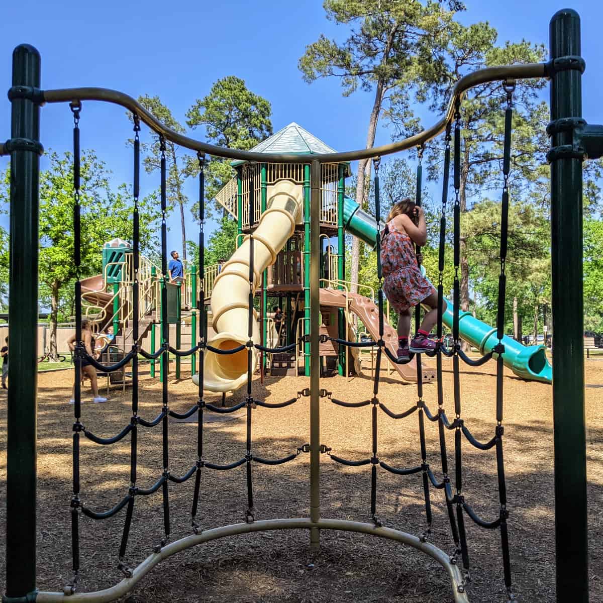 Collins Park Playground and Climber