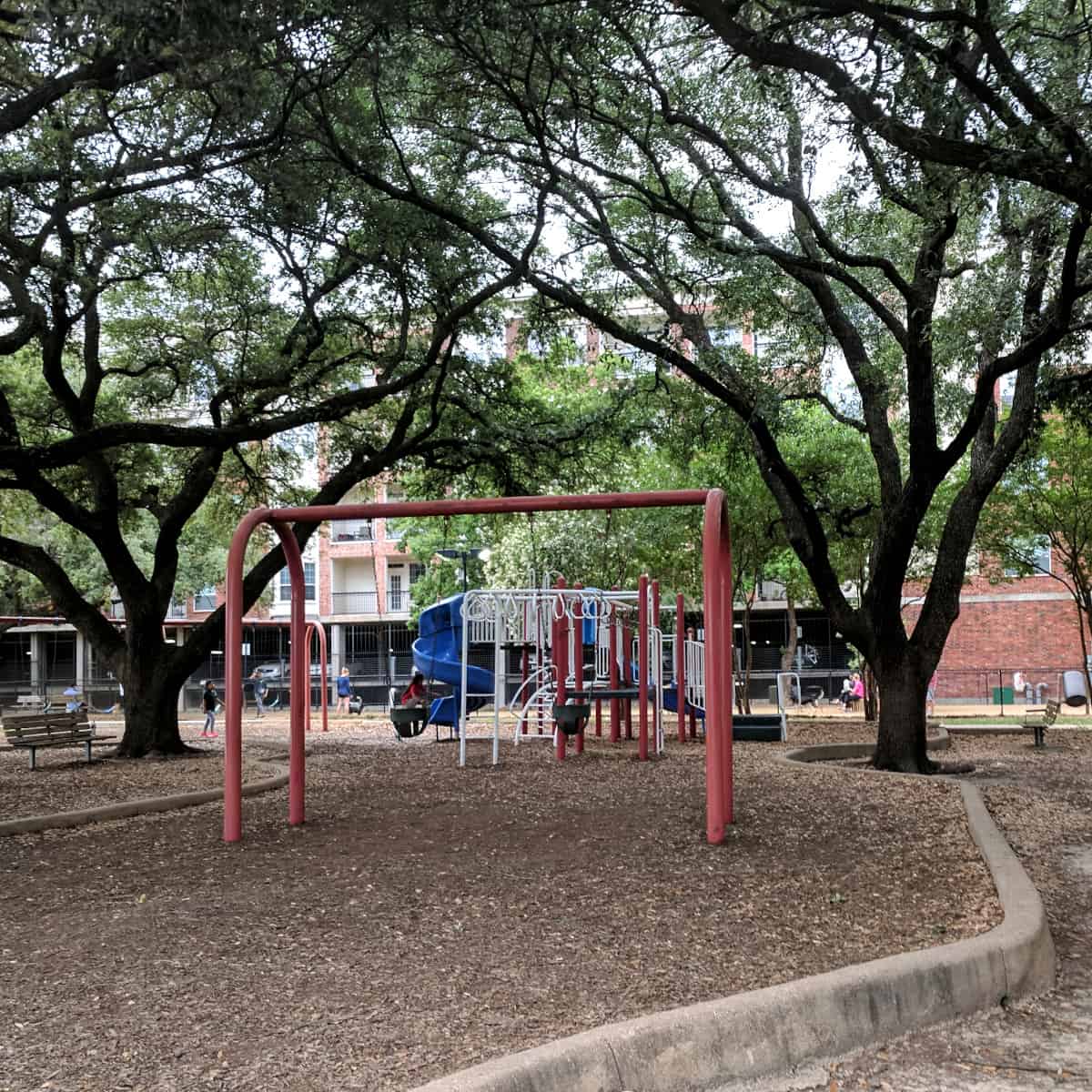 Trees at Ervan Chew Park