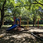 Feld Park Shade Trees