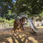 Judson Park Rock Slide