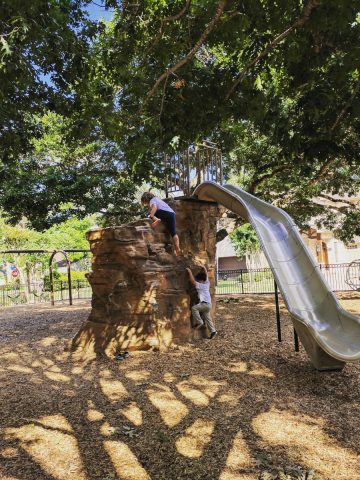 Judson Park Rock Slide