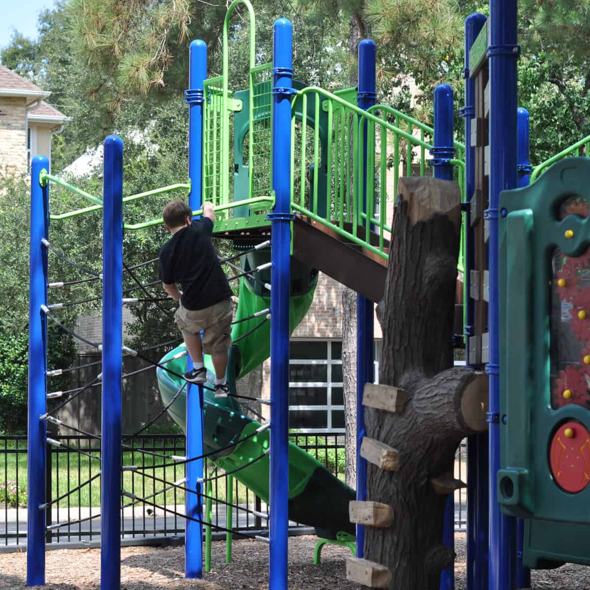 Climbing at Lafayette Park