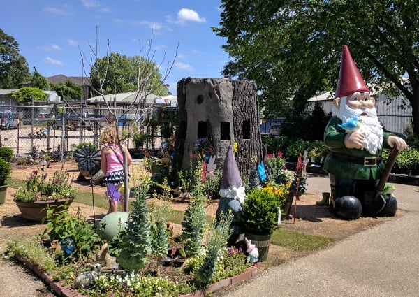 Where In Houston Giant Gnome At Plants For All Seasons