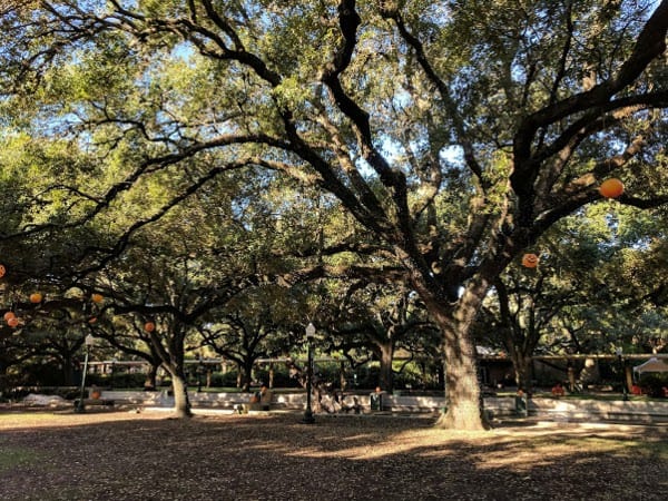 Houston Zoo