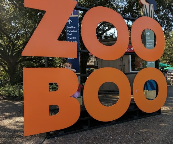 Zoo Boo