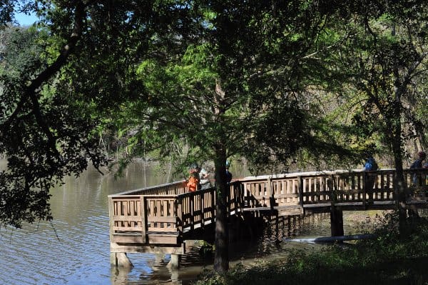 Brazos Bend State Park Lake