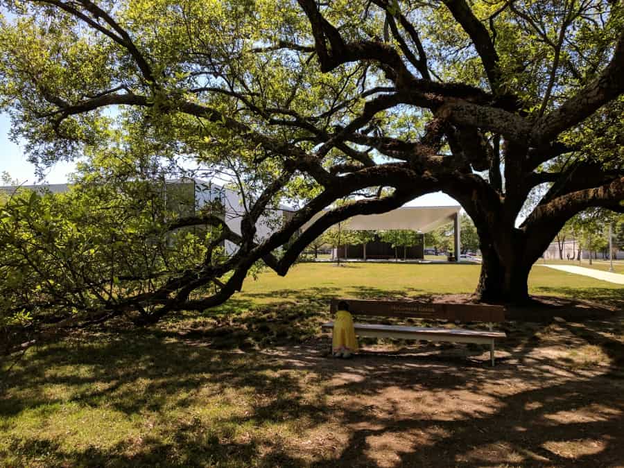 Picnic Houston Menil Park