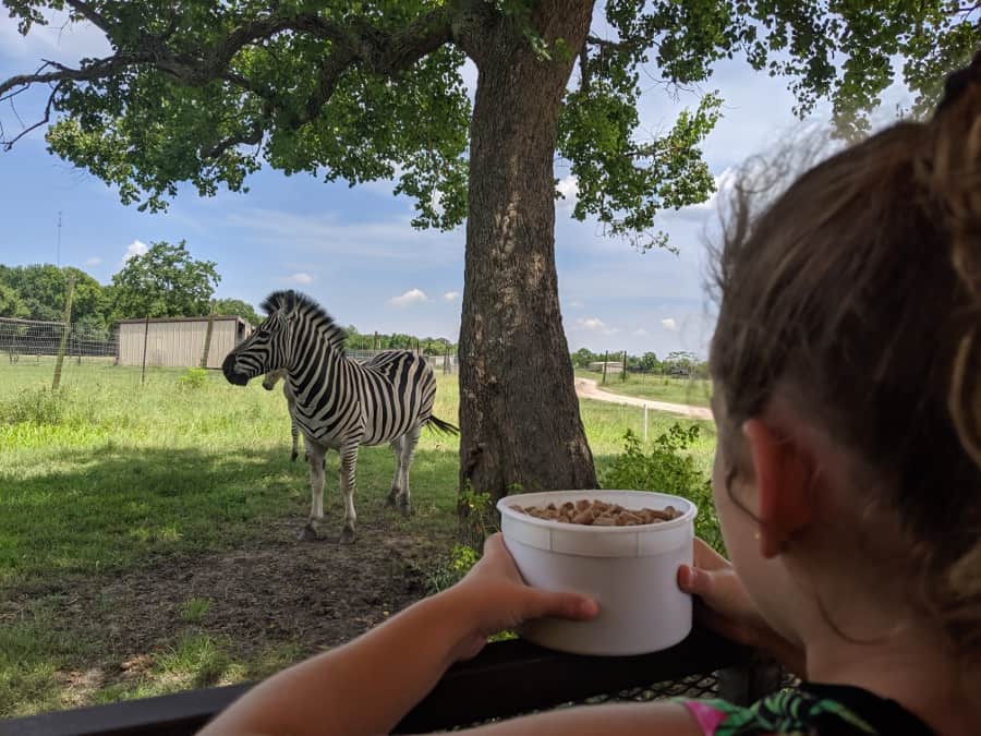 Bayou Wildlife Zoo Near Houston