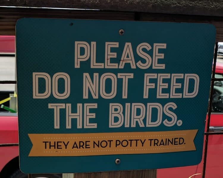 Family Friendly at The Spot in Galveston