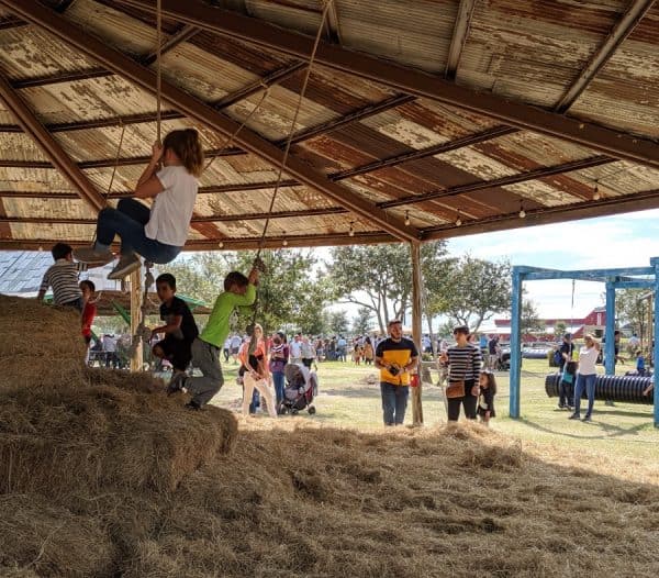 Take the Kids to Dewberry Farm Fall Festival!