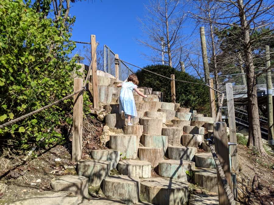 Log steps at Fish Family Play Area