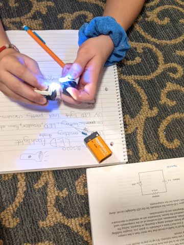 Homeschool Electronics Project